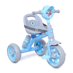 Fun Ride Kids Musical Tricycle with Seat Belt 