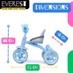 Fun Ride Kids Musical Tricycle with Seat Belt (Diemnsions)