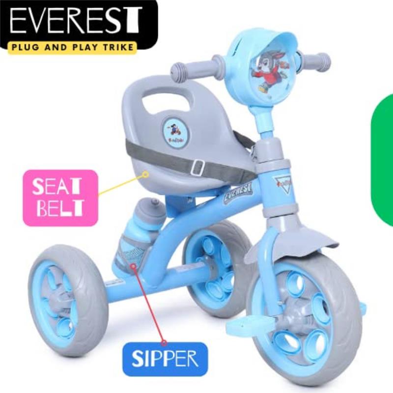 Fun Ride Kids Musical Tricycle with Seat Belt for safety